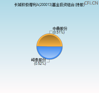 200013基金投资组合(持股)图