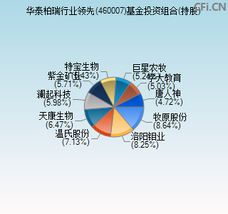 460007基金投资组合(持股)图