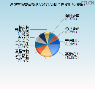 519172基金投资组合(持股)图