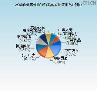 519193基金投资组合(持股)图