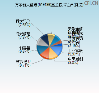 519196基金投资组合(持股)图