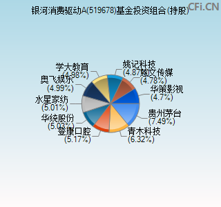 519678基金投资组合(持股)图