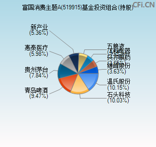 519915基金投资组合(持股)图