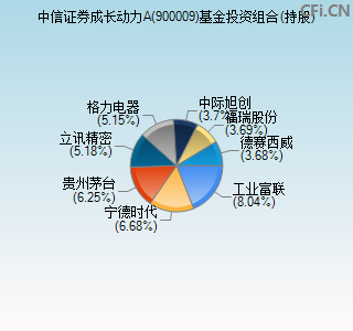 900009基金投资组合(持股)图