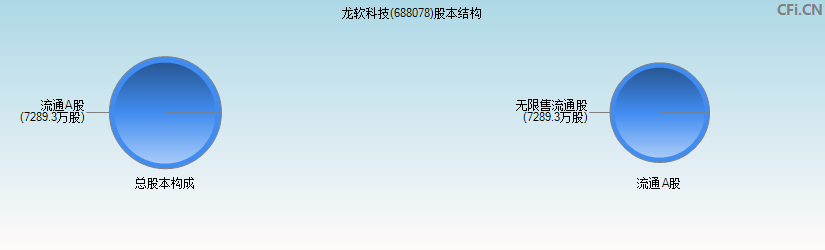 龙软科技(688078)股本结构图