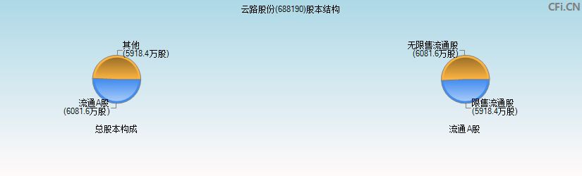 云路股份(688190)股本结构图