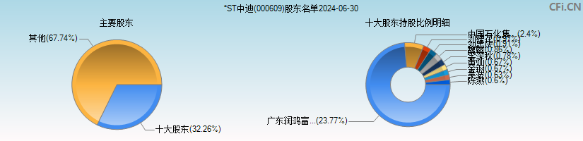 *ST中迪(000609)主要股东图