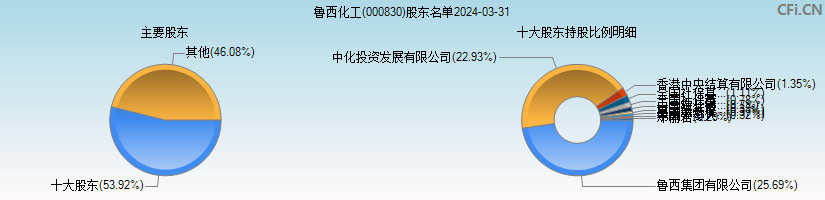 鲁西化工(000830)主要股东图