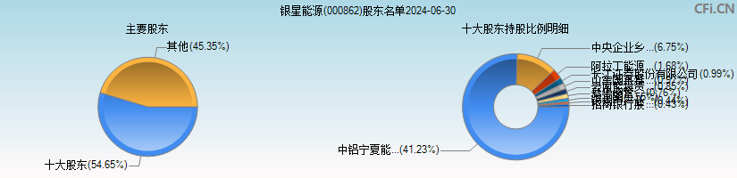 银星能源(000862)主要股东图