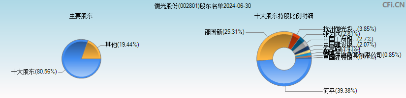 微光股份(002801)主要股东图