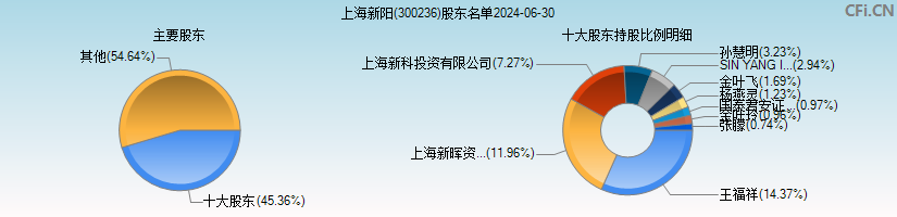 上海新阳(300236)主要股东图