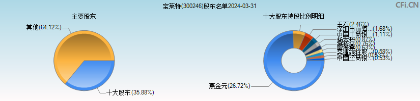 宝莱特(300246)主要股东图