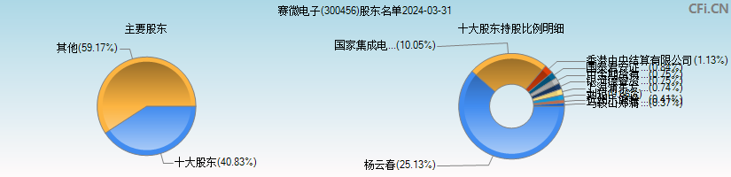 赛微电子(300456)主要股东图