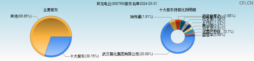祥龙电业(600769)主要股东图
