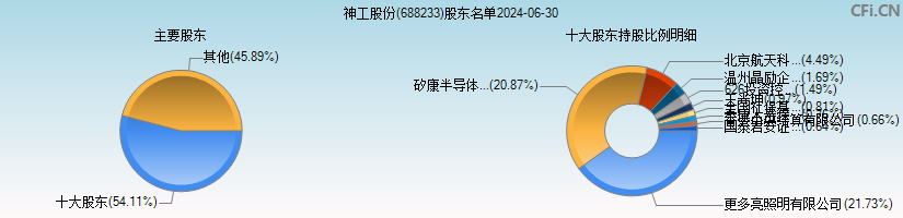 神工股份(688233)主要股东图