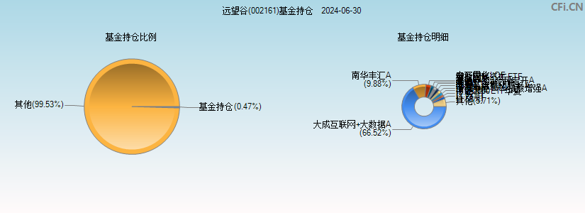 远望谷(002161)基金持仓图