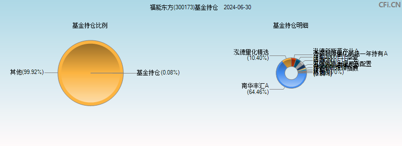 福能东方(300173)基金持仓图