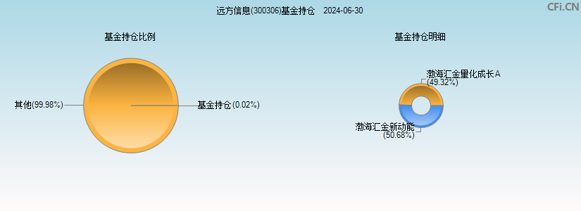 远方信息(300306)基金持仓图