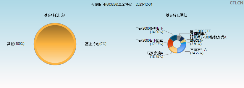 天龙股份(603266)基金持仓图