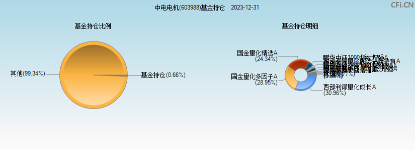 中电电机(603988)基金持仓图