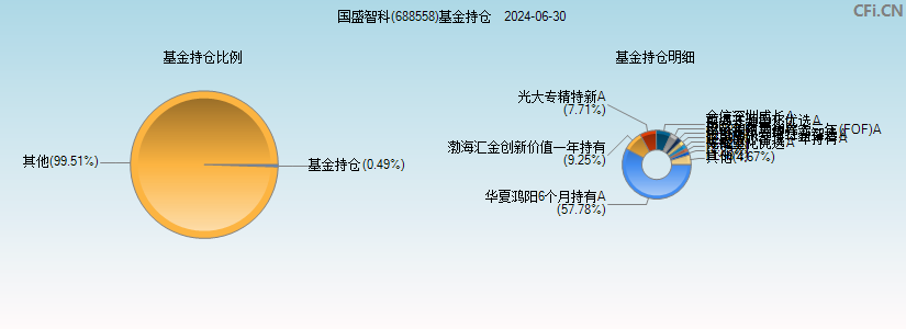 国盛智科(688558)基金持仓图