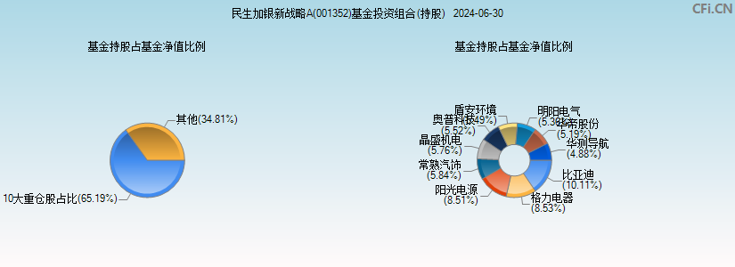 民生加银新战略A(001352)基金投资组合(持股)图