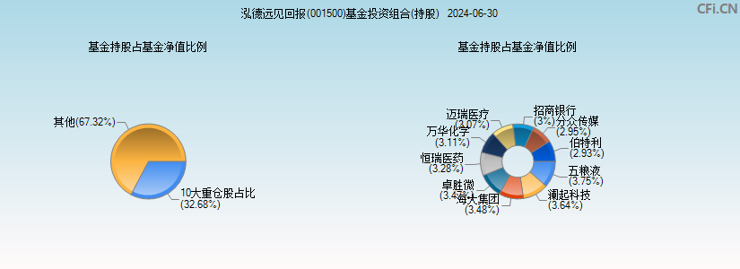 泓德远见回报(001500)基金投资组合(持股)图