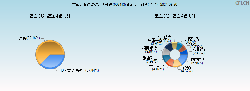 前海开源沪港深龙头精选(002443)基金投资组合(持股)图