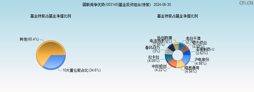 国联竞争优势(003145)基金投资组合(持股)图