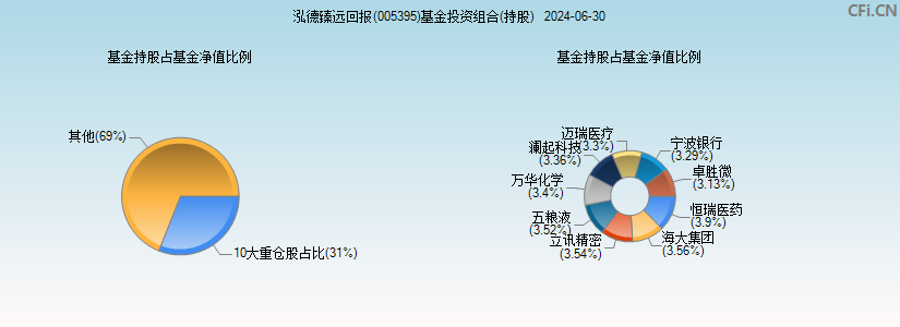 泓德臻远回报(005395)基金投资组合(持股)图