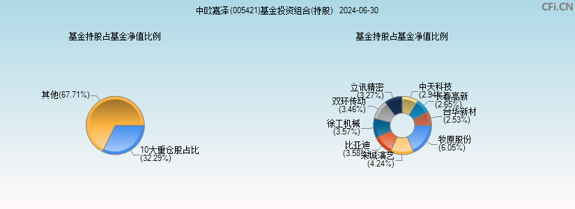 中欧嘉泽(005421)基金投资组合(持股)图
