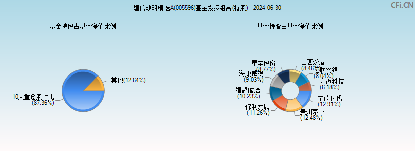 建信战略精选A(005596)基金投资组合(持股)图