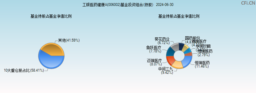 工银医药健康A(006002)基金投资组合(持股)图