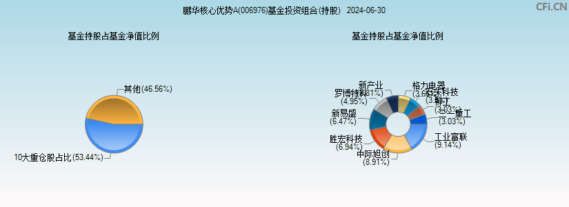 鹏华核心优势A(006976)基金投资组合(持股)图