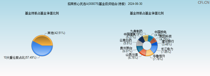 招商核心优选A(008075)基金投资组合(持股)图