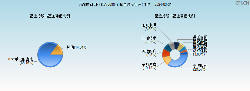 西藏东财创业板A(009046)基金投资组合(持股)图