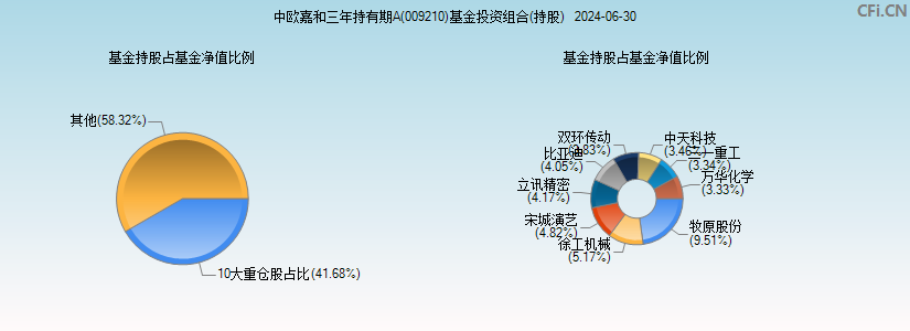 中欧嘉和三年持有期A(009210)基金投资组合(持股)图