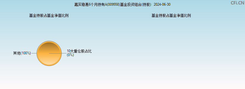 嘉实稳惠6个月持有A(009558)基金投资组合(持股)图