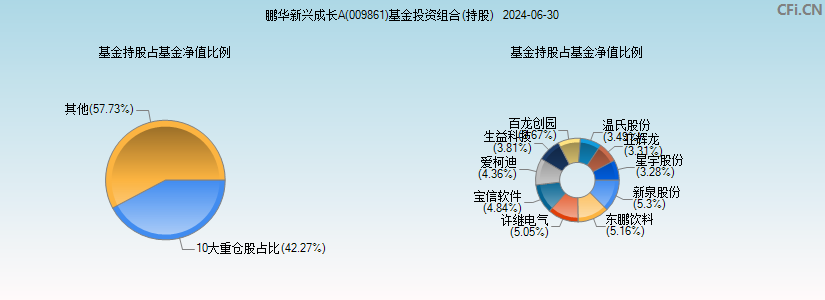 鹏华新兴成长A(009861)基金投资组合(持股)图