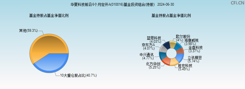 华夏科技前沿6个月定开A(010016)基金投资组合(持股)图