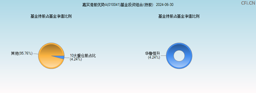 嘉实港股优势A(010041)基金投资组合(持股)图