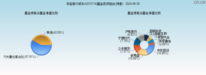 华宝新兴成长A(010114)基金投资组合(持股)图