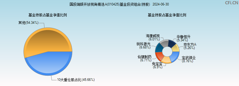 国投瑞银开放视角精选A(010425)基金投资组合(持股)图