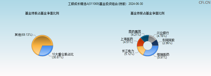 工银成长精选A(011069)基金投资组合(持股)图