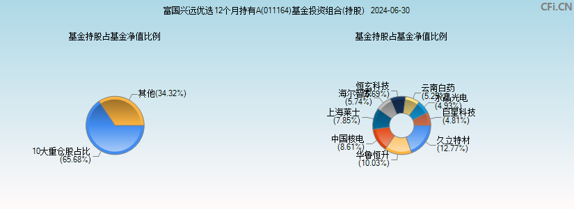 富国兴远优选12个月持有A(011164)基金投资组合(持股)图