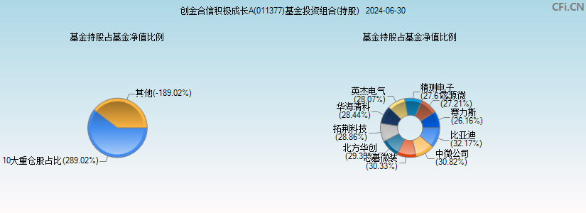 创金合信积极成长A(011377)基金投资组合(持股)图