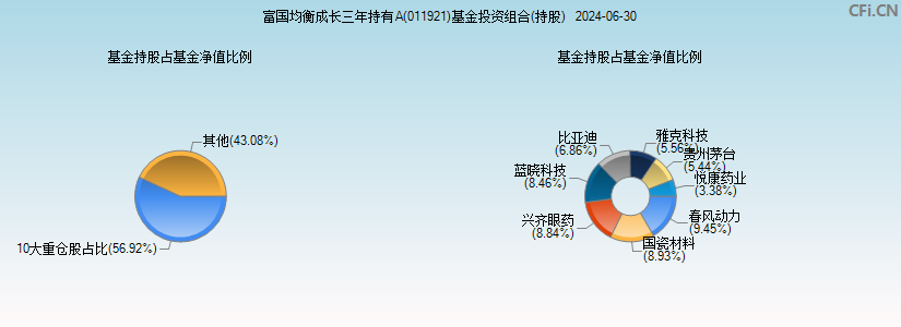 富国均衡成长三年持有A(011921)基金投资组合(持股)图