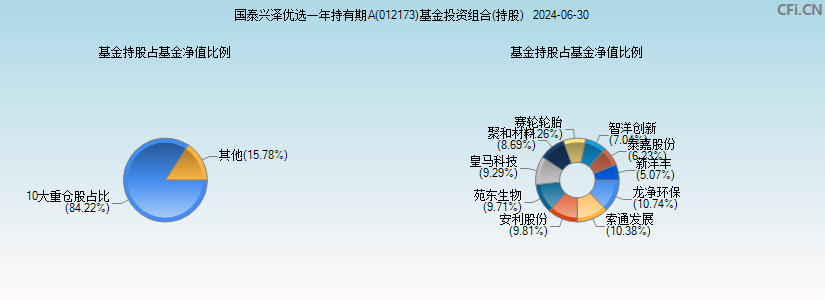 国泰兴泽优选一年持有期A(012173)基金投资组合(持股)图