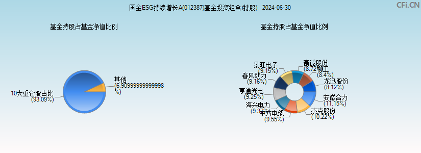 国金ESG持续增长A(012387)基金投资组合(持股)图