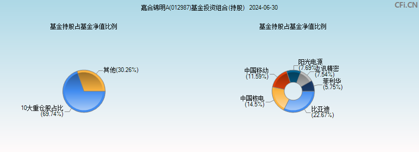 嘉合锦明A(012987)基金投资组合(持股)图